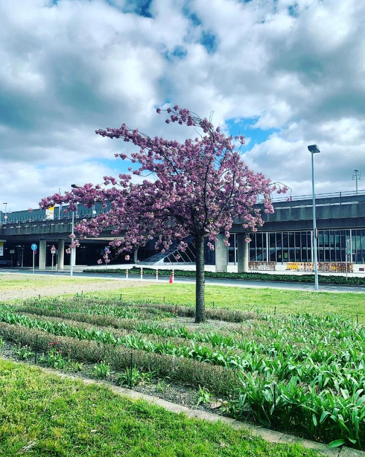 มาริติม แอร์พอร์ต โฮเต็ล ฮันโนเวอร์ Hotel Langenhagen  ภายนอก รูปภาพ